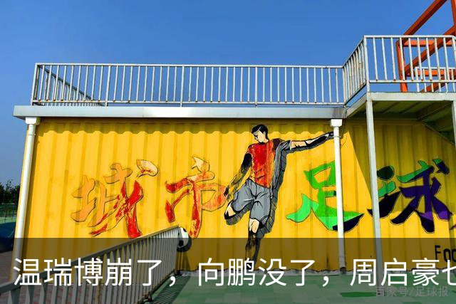 温瑞博崩了，向鹏没了，周启豪也走了，国乒男单只剩最后一张牌