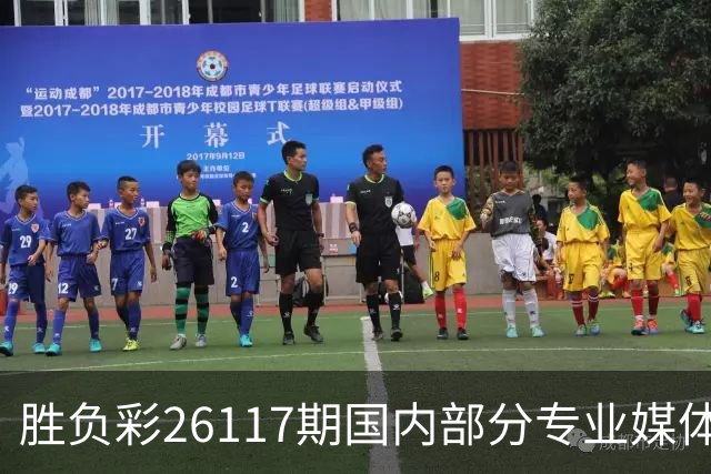 胜负彩26117期国内部分专业媒体复式推荐总汇